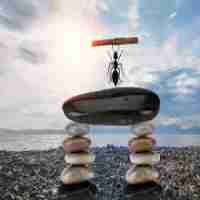 自﻿动﻿化​专​业‍软﻿件‌有‍哪‌些‍好﻿